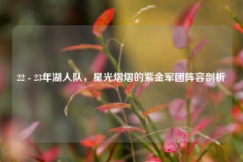 22 - 23年湖人队，星光熠熠的紫金军团阵容剖析