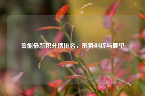 鲁能最新积分榜排名，形势剖析与展望