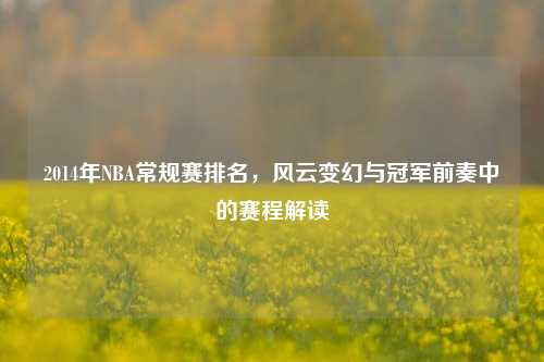 2014年NBA常规赛排名，风云变幻与冠军前奏中的赛程解读