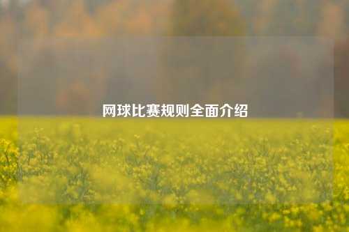 网球比赛规则全面介绍