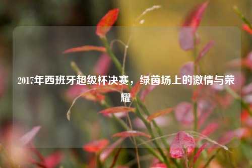 2017年西班牙超级杯决赛，绿茵场上的激情与荣耀