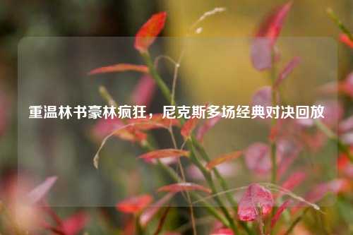 重温林书豪林疯狂，尼克斯多场经典对决回放