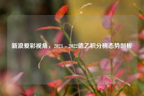 新浪爱彩视角，2021 - 2022德乙积分榜态势剖析