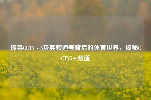 探寻CCTV - 5及其频道号背后的体育世界，揭秘CCTV5+频道