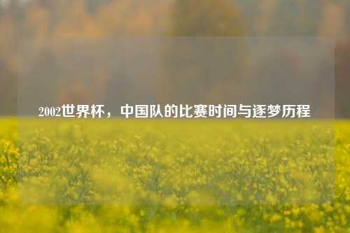 2002世界杯，中国队的比赛时间与逐梦历程