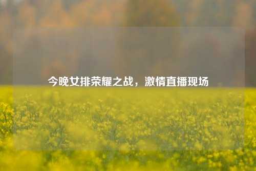 今晚女排荣耀之战，激情直播现场