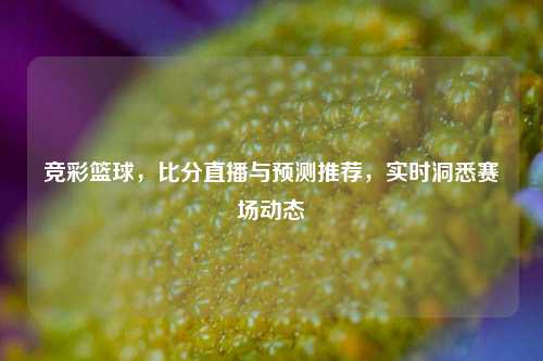 竞彩篮球，比分直播与预测推荐，实时洞悉赛场动态