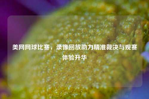 美网网球比赛，录像回放助力精准裁决与观赛体验升华