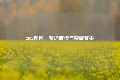 2022澳网，赛场激情与荣耀赛果