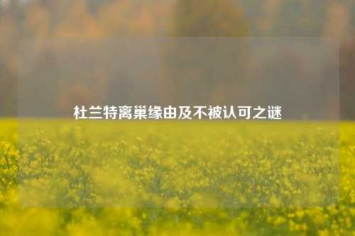 杜兰特离巢缘由及不被认可之谜