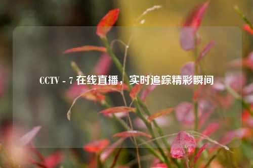 CCTV - 7 在线直播，实时追踪精彩瞬间