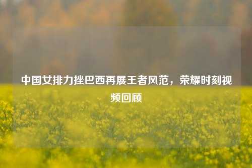 中国女排力挫巴西再展王者风范，荣耀时刻视频回顾