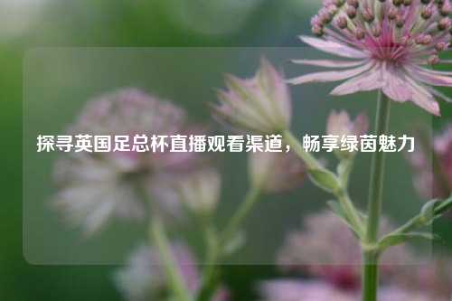 探寻英国足总杯直播观看渠道，畅享绿茵魅力