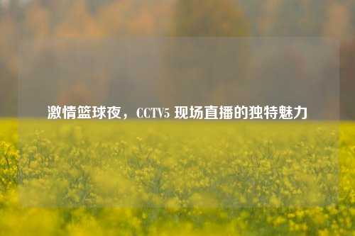 激情篮球夜，CCTV5 现场直播的独特魅力