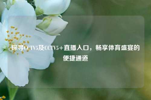 探寻CCTV5及CCTV5+直播入口，畅享体育盛宴的便捷通道