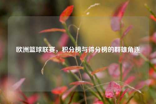 欧洲篮球联赛，积分榜与得分榜的群雄角逐