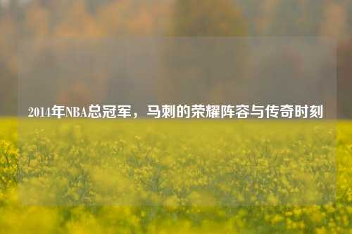 2014年NBA总冠军，马刺的荣耀阵容与传奇时刻