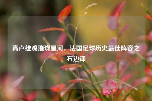 高卢雄鸡璀璨星河，法国足球历史最佳阵容之右边锋