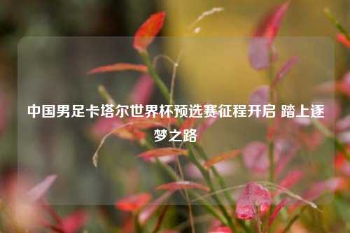 中国男足卡塔尔世界杯预选赛征程开启 踏上逐梦之路