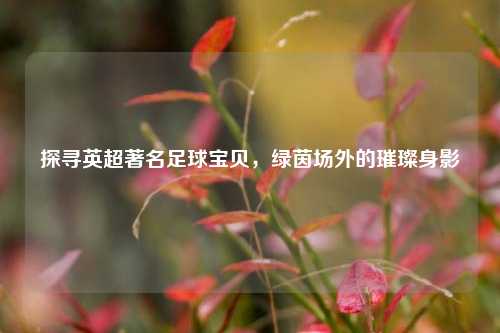 探寻英超著名足球宝贝，绿茵场外的璀璨身影