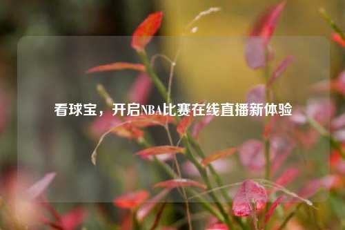 看球宝，开启NBA比赛在线直播新体验