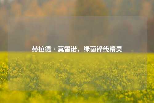 赫拉德·莫雷诺，绿茵锋线精灵