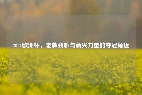 2021欧洲杯，老牌劲旅与新兴力量的夺冠角逐