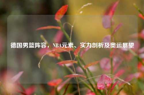 德国男篮阵容，NBA元素、实力剖析及奥运展望