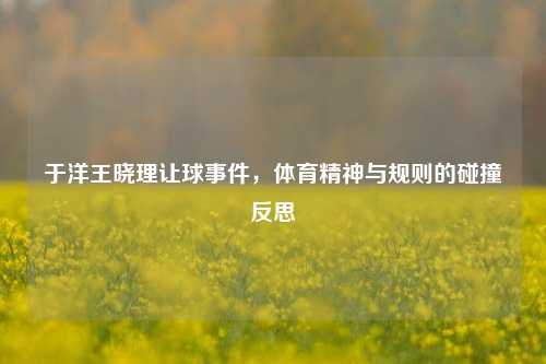 于洋王晓理让球事件，体育精神与规则的碰撞反思