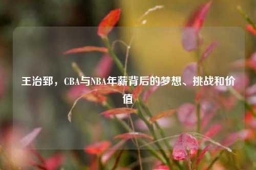 王治郅，CBA与NBA年薪背后的梦想、挑战和价值