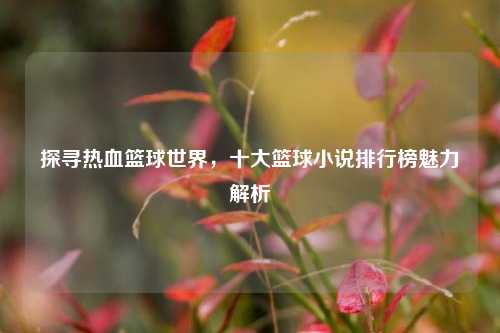 探寻热血篮球世界，十大篮球小说排行榜魅力解析