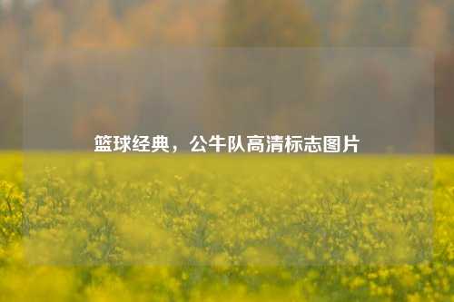 篮球经典，公牛队高清标志图片