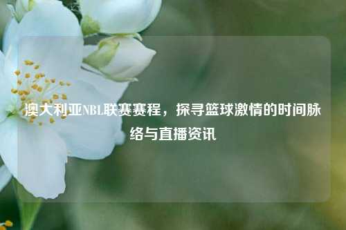 澳大利亚NBL联赛赛程，探寻篮球激情的时间脉络与直播资讯