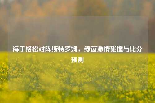 海于格松对阵斯特罗姆，绿茵激情碰撞与比分预测