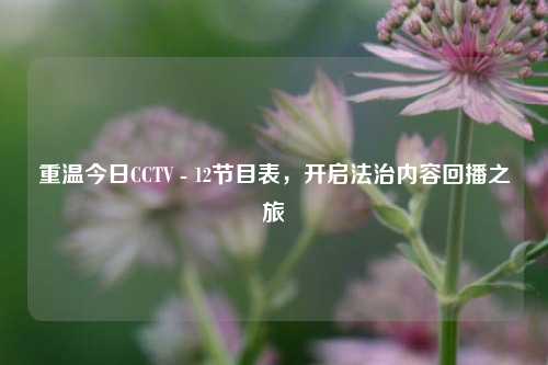 重温今日CCTV - 12节目表，开启法治内容回播之旅