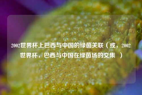 2002世界杯上巴西与中国的绿茵关联（或，2002世界杯，巴西与中国在绿茵场的交集  ）