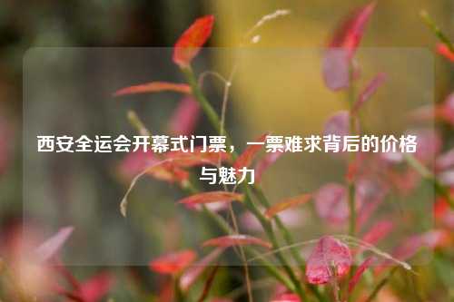 西安全运会开幕式门票，一票难求背后的价格与魅力