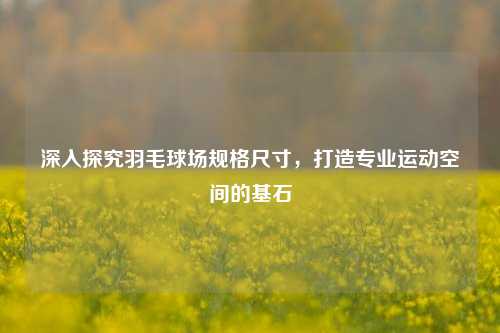 深入探究羽毛球场规格尺寸，打造专业运动空间的基石