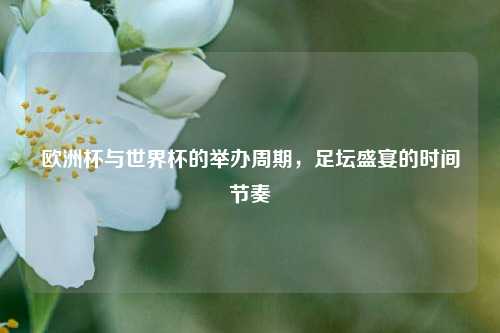 欧洲杯与世界杯的举办周期，足坛盛宴的时间节奏