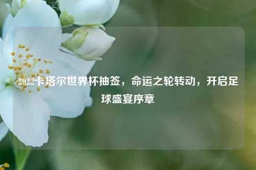 2022卡塔尔世界杯抽签，命运之轮转动，开启足球盛宴序章