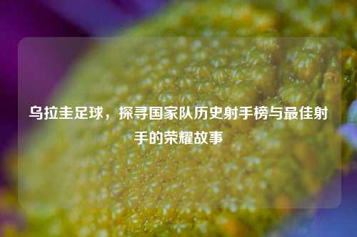 乌拉圭足球，探寻国家队历史射手榜与最佳射手的荣耀故事