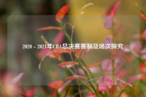 2020 - 2021年CBA总决赛赛制及场次探究