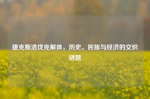 捷克斯洛伐克解体，历史、民族与经济的交织谜题