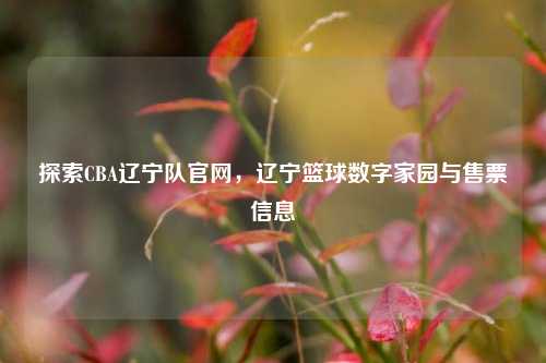 探索CBA辽宁队官网，辽宁篮球数字家园与售票信息