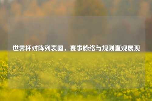 世界杯对阵列表图，赛事脉络与规则直观展现