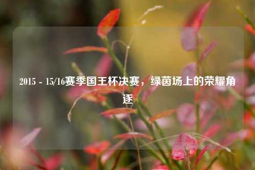 2015 - 15/16赛季国王杯决赛，绿茵场上的荣耀角逐