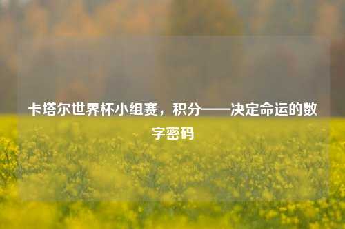 卡塔尔世界杯小组赛，积分——决定命运的数字密码