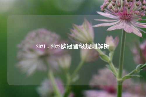 2021 - 2022欧冠晋级规则解析
