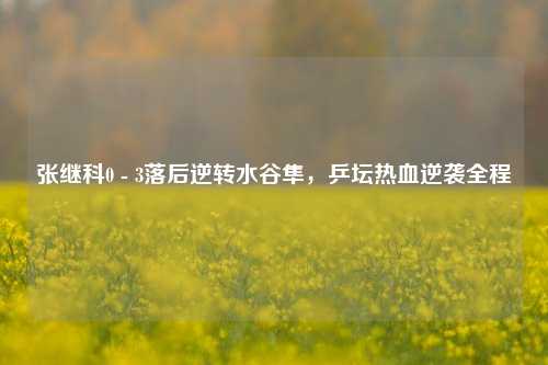 张继科0 - 3落后逆转水谷隼，乒坛热血逆袭全程