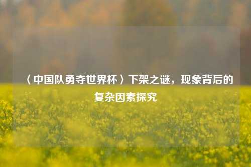 〈中国队勇夺世界杯〉下架之谜，现象背后的复杂因素探究